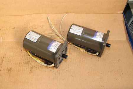TUNG LEE 5RK90GU-S3M Induktionsmotor i_02745290